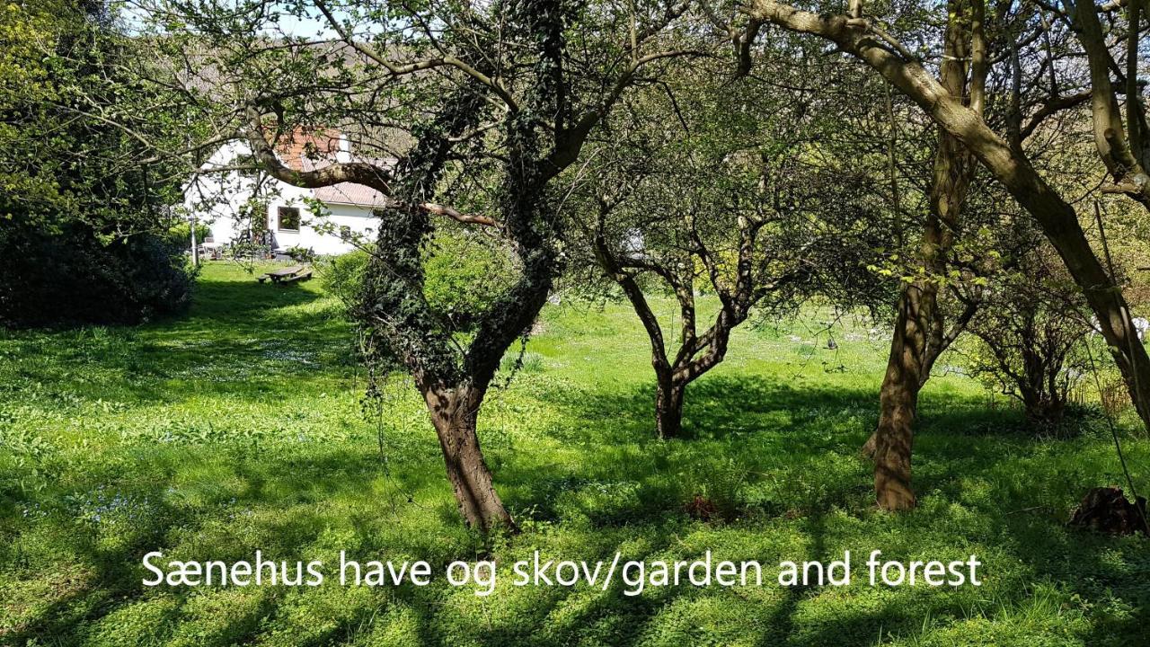 Villa Saenehus Husmandssted à Allinge-Sandvig Extérieur photo